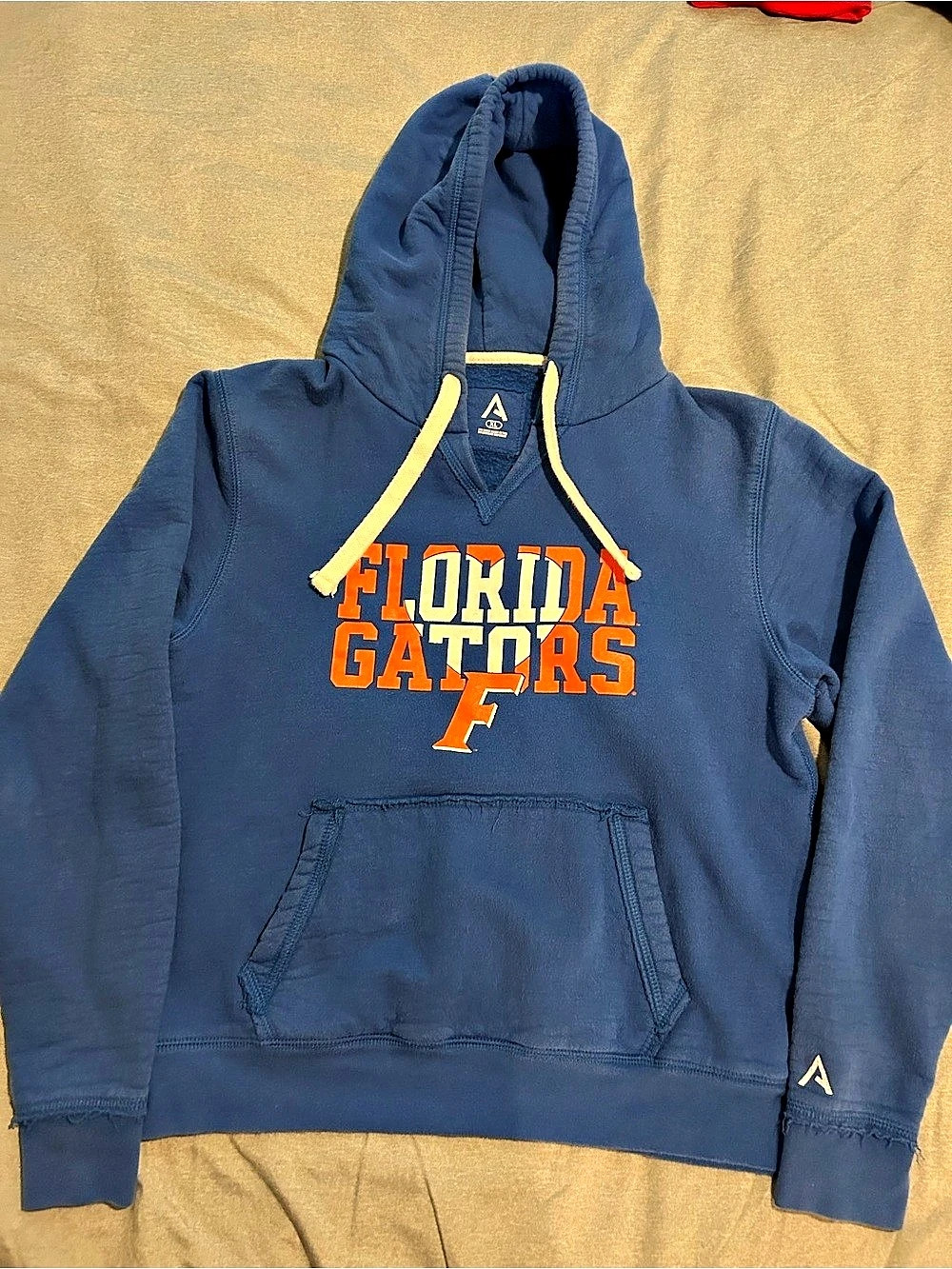 Colosseum Florida Gators Hoodie in Blue
